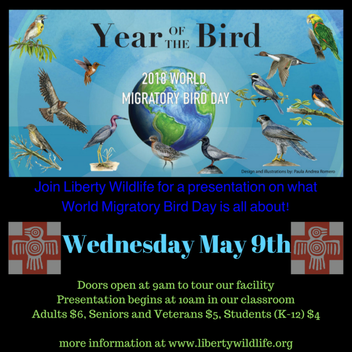 World Migratory Bird Day Liberty Wildlife